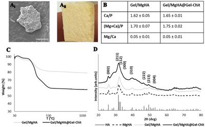 Mimicking Natural Microenvironments: Design of 3D-Aligned Hybrid Scaffold for Dentin Regeneration